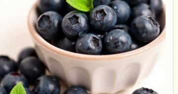 Andean Jumbo Blueberries