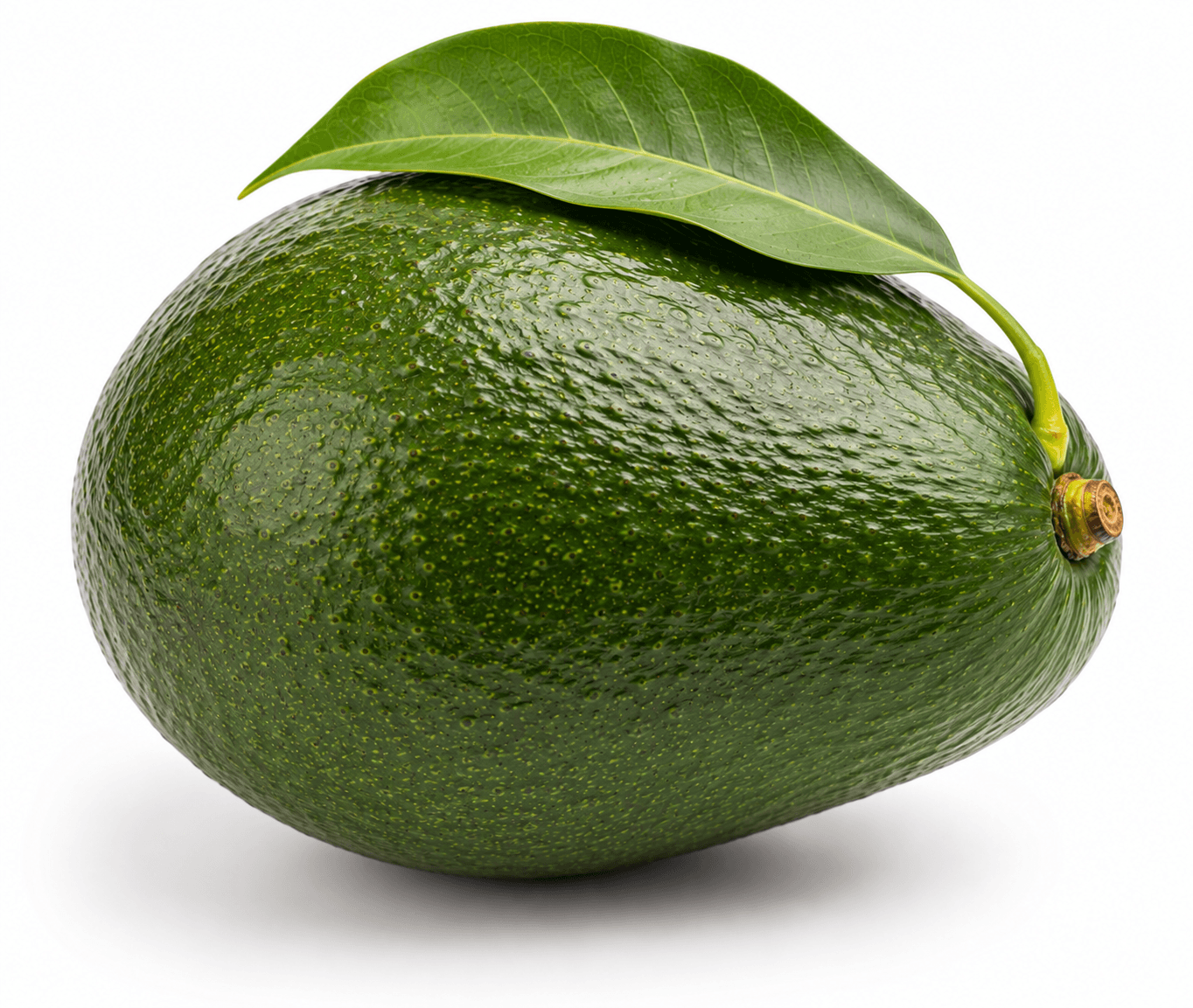 Michoacán Hass Avocado